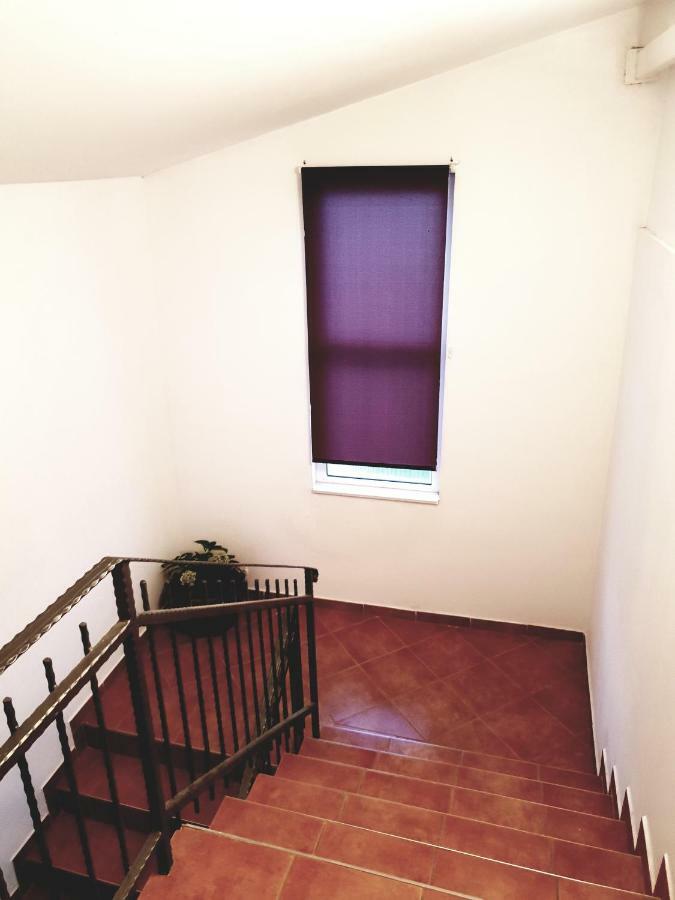 Apartments Petrovic 피로바츠 외부 사진